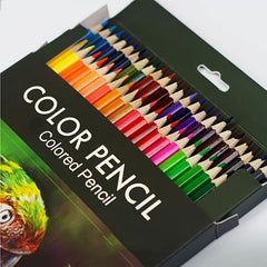 Professional Artist Colored Pencil Set, Vibrant Sketching & Drawing Kit