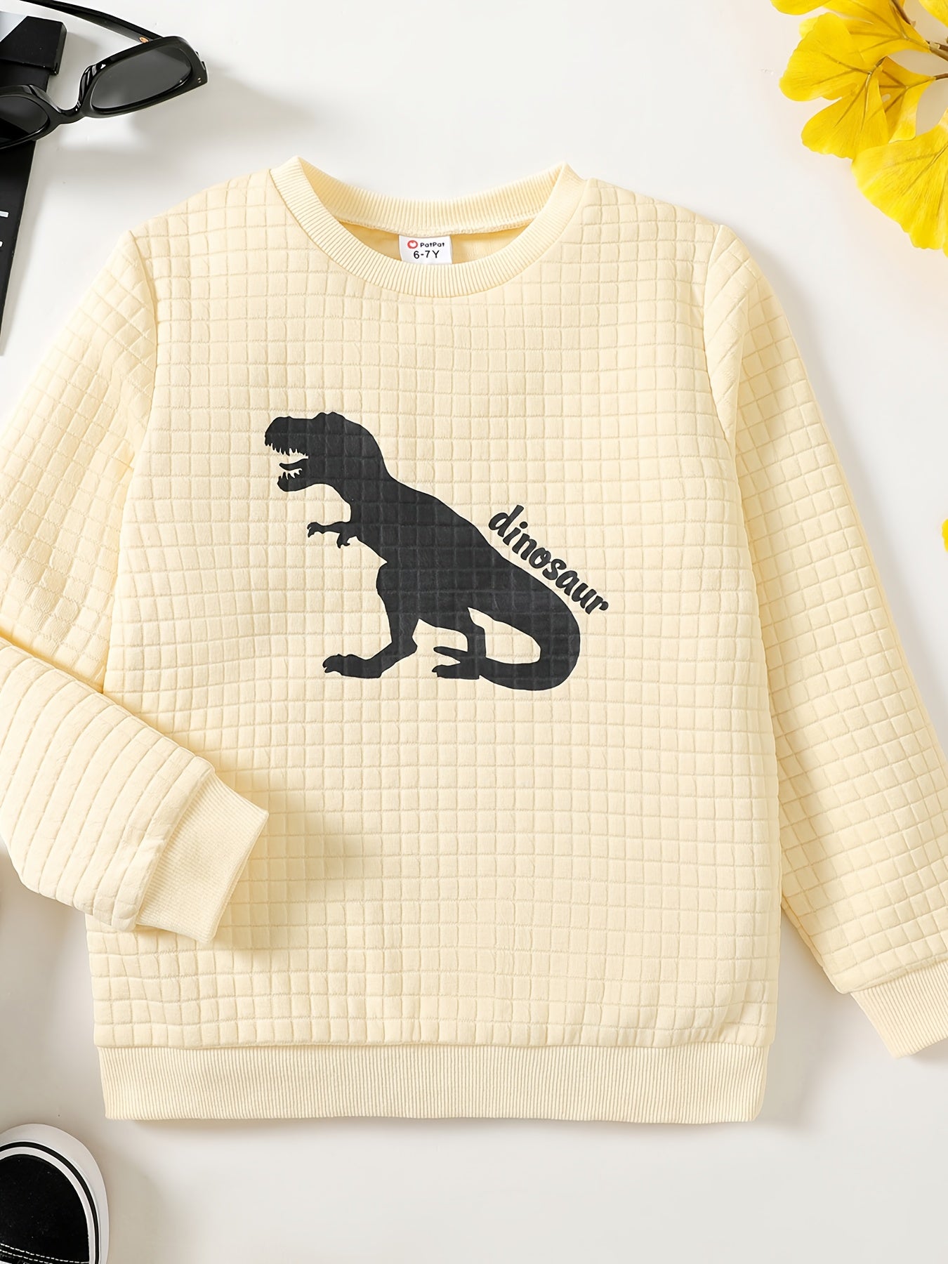 Dinosaur Print Boys Casual Pullover Sweatshirt Long Sleeve Crew Neck Tops