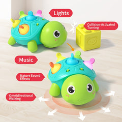 Interactive Turtle Toy with Crawling Movement, Sounds & Lights