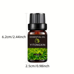 Essential Oils Relaxation Set - Strong Lasting Fragrance - Air Fresh