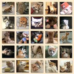 63pcs Cat Stickers High-Quality Adhesive Decals for Laptop Phone Car Planner