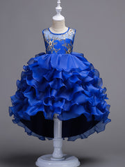 Girls Puffy Princess Dress Flowers Embroidery Layered Dress