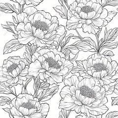 HQY Deluxe Peony Painting Coloring Book 22 Pages