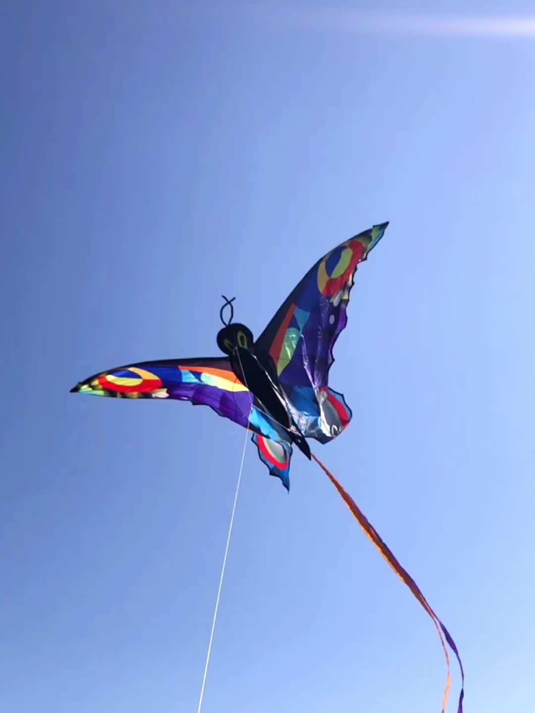 3D Butterfly Kite Multicolor Animal Shape Outdoor Entertainment