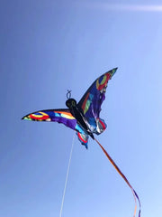 3D Butterfly Kite Multicolor Animal Shape Outdoor Entertainment