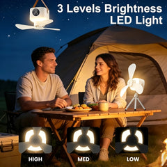 img_13028717