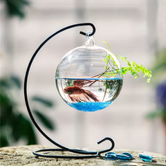 Glass Hanging Fish Bowl with Stand, Transparent Vase Fish Tank