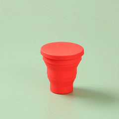 Foldable Silicone Water Bottle - Portable & Leakproof