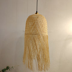 img_13028964