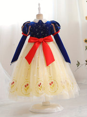Girl's Princess Dress Sequin Puff Sleeve Mesh Fairy Tale Cosplay Costume