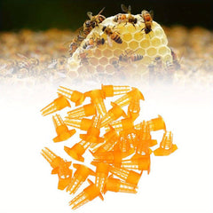 50pcs Plastic Bee Queen Cage Cell Protector Beekeeping Equipment