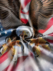 3D American Flag & Eagle Print T-shirt Kids Summer Clothes Gift Sports