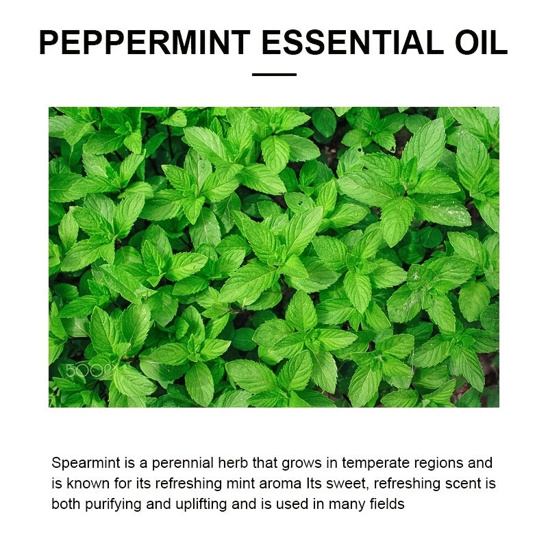 100ml Peppermint Essential Oil 100% Natural for Massage Skin Care Aromatherapy
