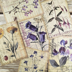 8pcs Vintage Botanical Flower Plants Nature Scrapbook Papers DIY Crafts