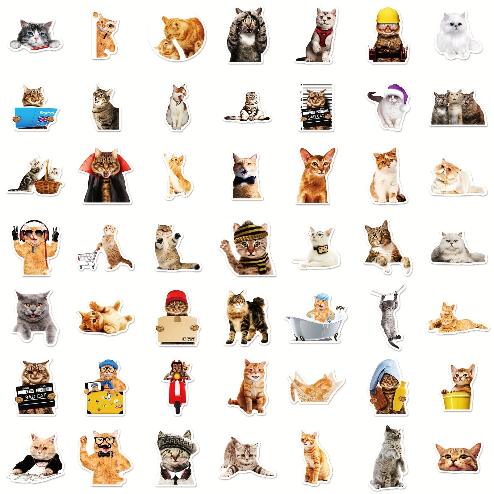 50pcs Realistic Cat Stickers Waterproof Vinyl Stickers Funny Kitten Face Decals