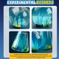 Water Garden Experiment Toy DIY Growth Stone Kit