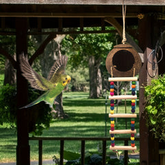 Coconut Bird House & Beaded Ladder Set