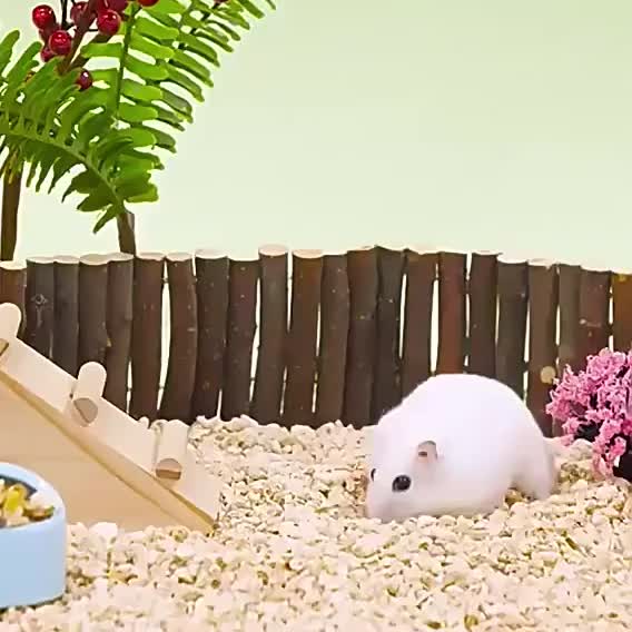 img_5309607