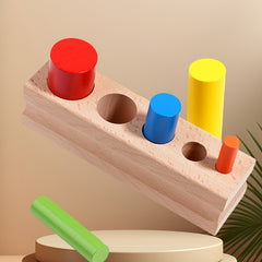 Colorful 5 Peg Cylinder Shape Sorting Toy