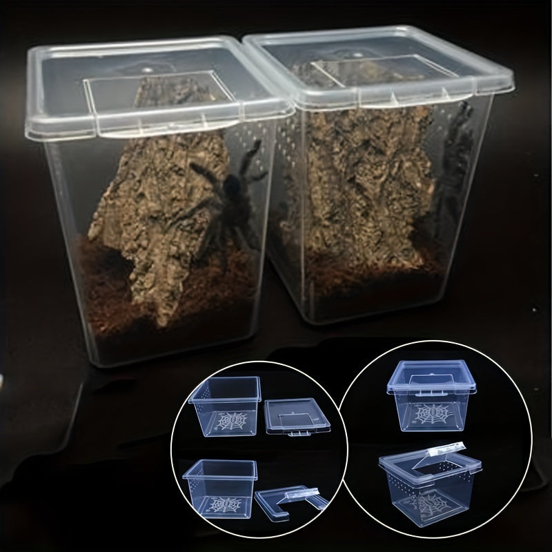 Reptile Breeding Box for Pet Spider Larvae