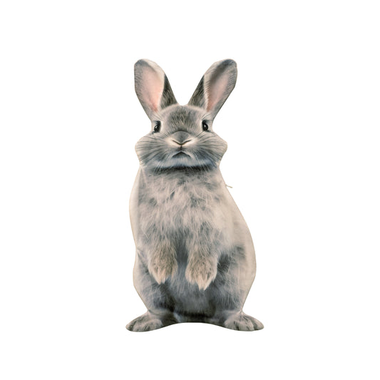 Easter Bunny Pillowcase Soft & Durable Cover