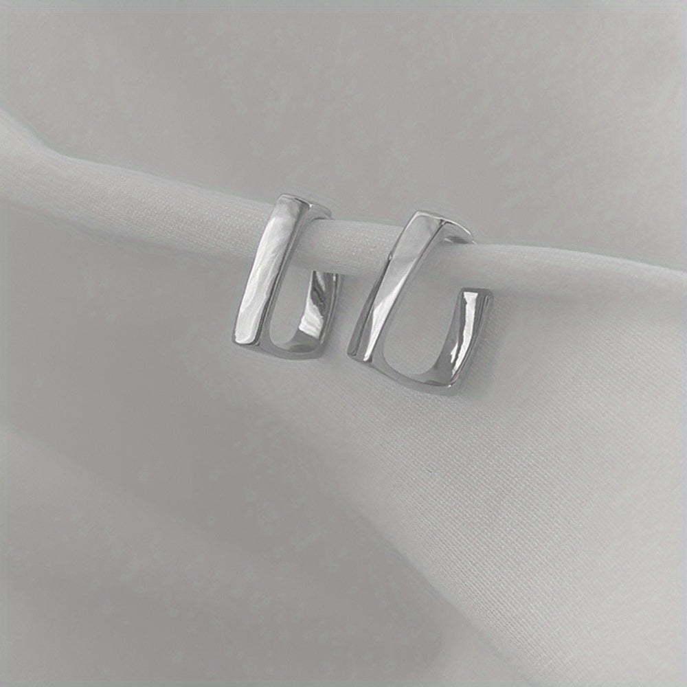 Irregular Geometric Metal Earrings for Women Jewelry Gift