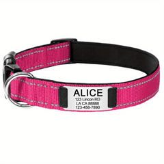Reflective Dog Collars with Engraved Name Plate