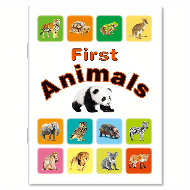 Mini Children's Vocabulary Book in 4 Styles to Learn English with Rounded Corner