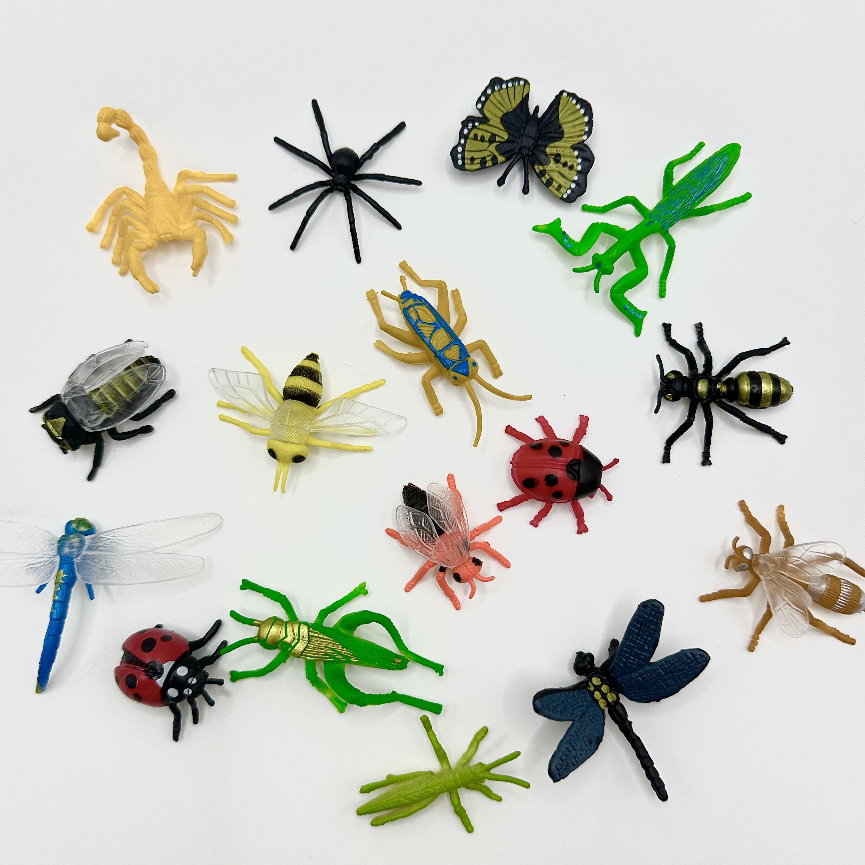 24pcs Small Insect Toys Model Mini Spider Ladybug Beetle Scorpion Butterfly