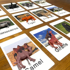 Montessori Animal Matching Card Educational Toy