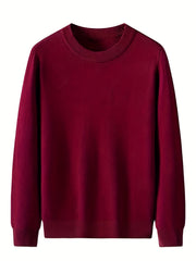 Men's Casual Knitted Sweater Crew Neck Pullover for Fall Winter