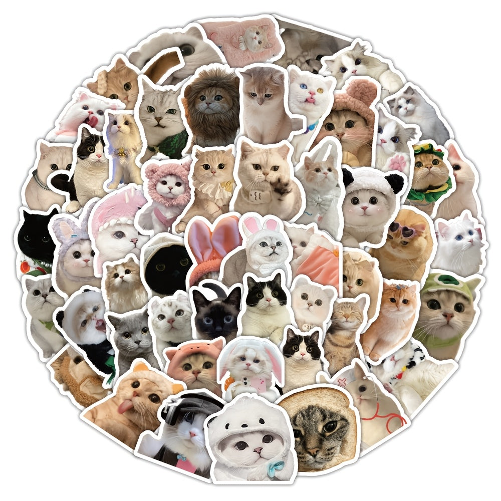 60pcs Cat Sticker Pack Waterproof Vinyl Stickers Mixed Colors