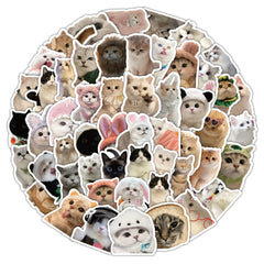 60pcs Cat Sticker Pack Waterproof Vinyl Stickers Mixed Colors