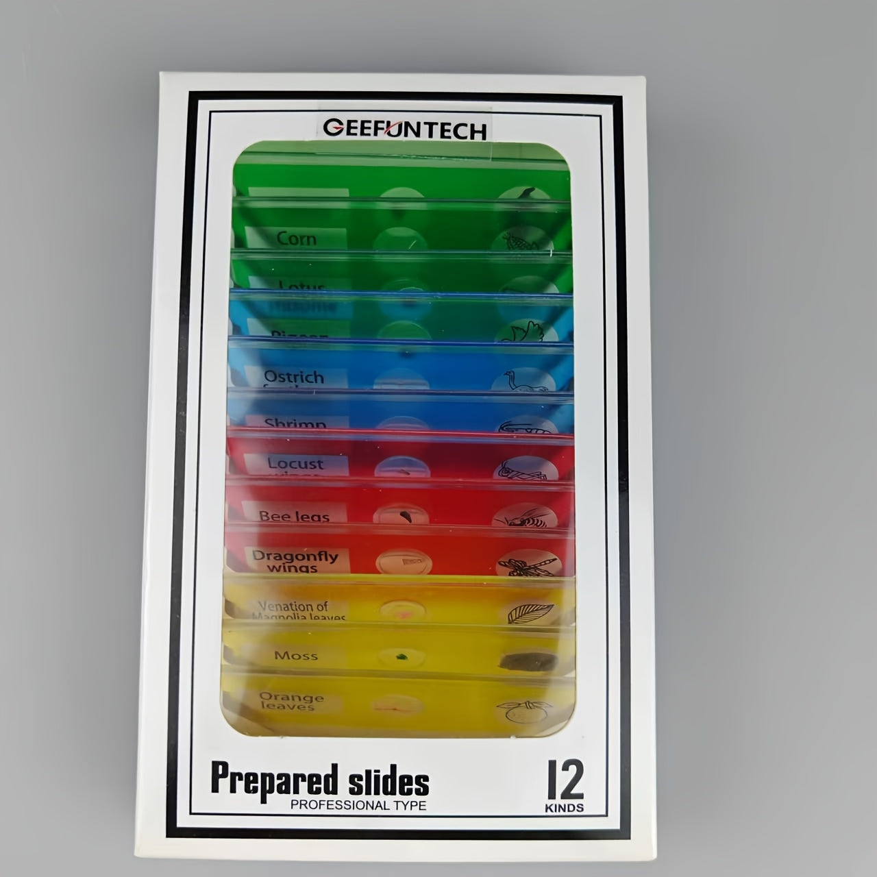 12pcs Plastic Prepared Microscope Slides Biological Specimen