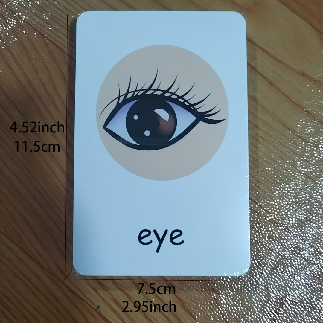 Montessori Body Part Flash Cards for Kids - Educational Toy