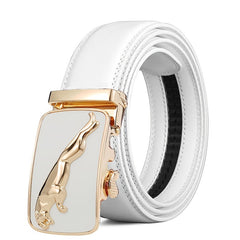 Men's Casual Alloy PU Leather Belt