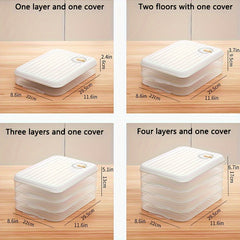 Refrigerator Storage Box for Fresh Dumplings, Wontons, Wraps
