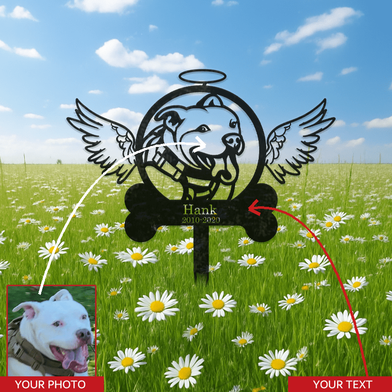 img_5224599