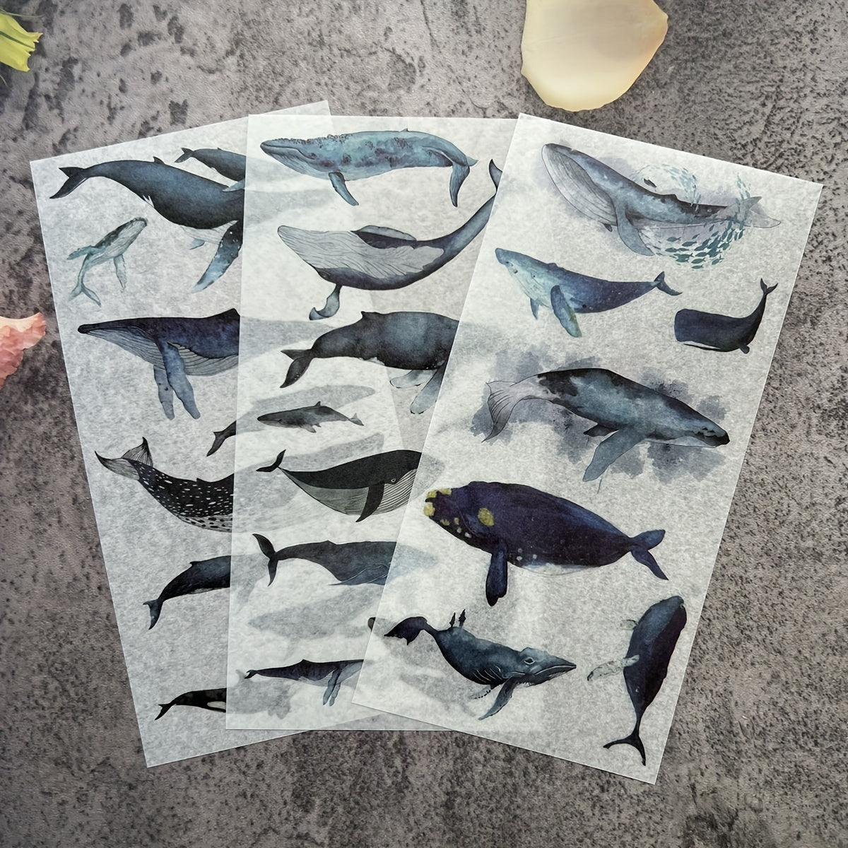 Whale Ocean Animal Stickers for DIY Notebook and Luggage