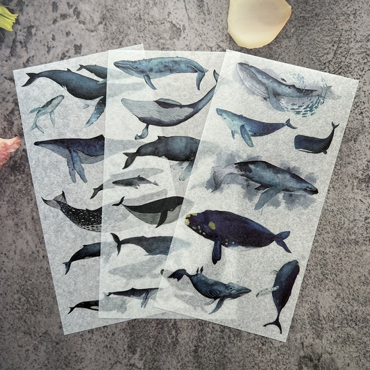 Whale Ocean Animal Stickers for DIY Notebook and Luggage