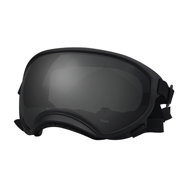 img_11075394