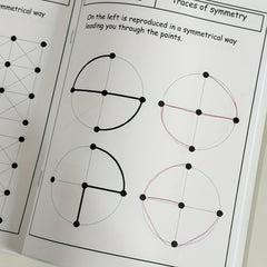 Mirror Line Segment Practice Workbook for Kids