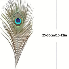 24pcs High Peacock Eye Feathers 25-48 Cm DIY Craft Dance Makeup Decor