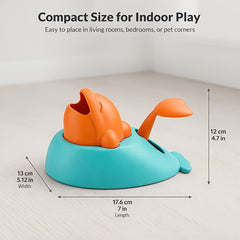 img_5812401