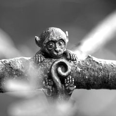 img_5731837