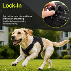 img_5510432