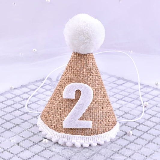 One Year Old Baby Birthday Hat Photo Prop