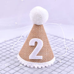 One Year Old Baby Birthday Hat Photo Prop