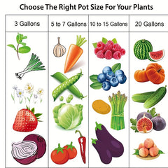 Non Woven Planting Bag With Handle for Balcony Gardening