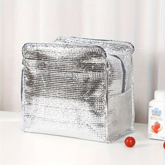 Large Insulated Lunch Bag for Camping & Picnic